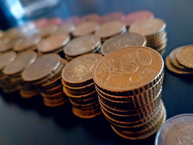 mince Evropské unie